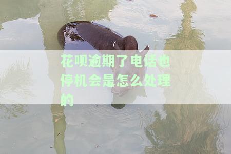 花呗逾期打电话来，再不接电话会怎样？催款方可能会加大催收力度，甚至可能采取法律手。如果今天还没钱还款，应尽快联系客服协商解决方案。