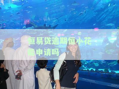 在恒易贷借款逾期后被起诉，应如何应对？