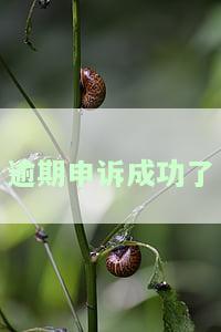 逾期申诉成功后，征信多久更新？