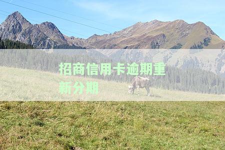 招商信用卡逾期重新分期怎么办，如何处理招商信用卡逾期并重新申请分期还款？