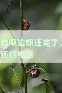 借呗逾期还完了,还打电话-借呗逾期还完了,还打电话催收
