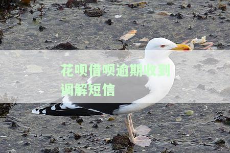 花呗借呗逾期收到调解短信