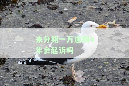 来分期逾期1万多会被起诉吗，来分期逾期1万多是否会面临被起诉的风险？