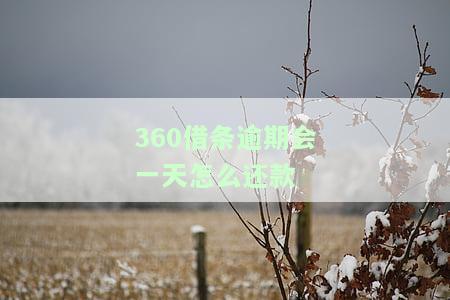 逾期一天会有什么后果？有奖问答！