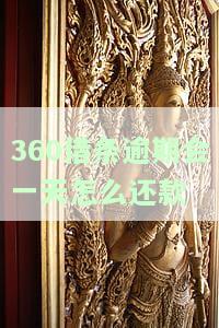 逾期会一天怎么还款-逾期会一天怎么还款吗