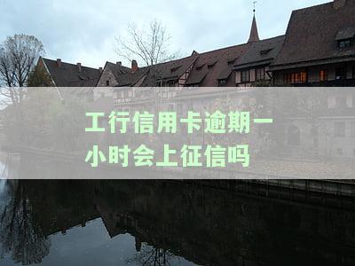 工行信用卡逾期一小时会上征信吗-工行信用卡逾期一小时会上征信吗知乎