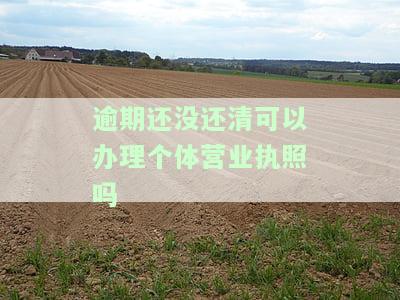 有逾期能否用营业执照贷款？相关问题解答