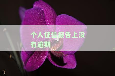 个人征信报告上没有逾期会显示吗？如何查询