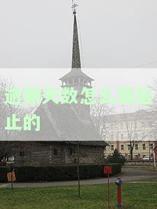 逾期天数划分，逾期天数划分：理解并应对贷款还款中的关键因素