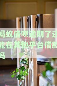 蚂蚁借呗逾期了还能在其他平台借款吗，蚂蚁借呗逾期后，是否还能在其他平台成功借款？