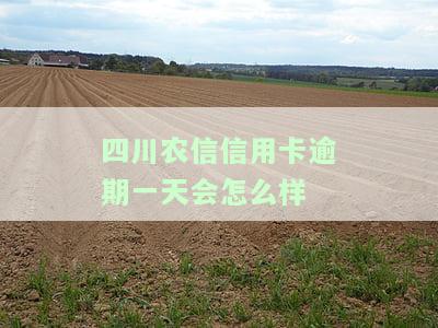 四川农信信用卡逾期一天会怎么样处理，四川农信信用卡逾期一天的处理方式
