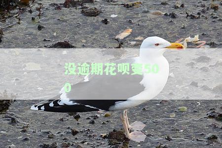 花呗没有逾期变成灰色的了要多久才能恢复，花呗逾期变灰色，多久能恢复正常？