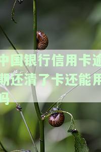 中国银行信用卡逾期还清后，卡是否能继续使用？安全性如何？