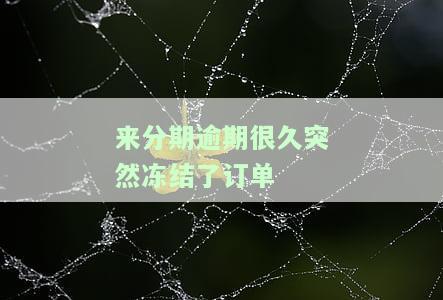 来分期逾期很久突然冻结了订单？如何解决？