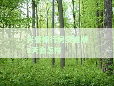 兴业银行房贷逾期1天会怎样处理，兴业银行房贷逾期1天：可能的处理方式和影响