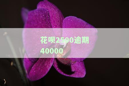 花呗2500逾期40000
