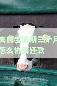 支付宝逾期三个月怎么协商还款