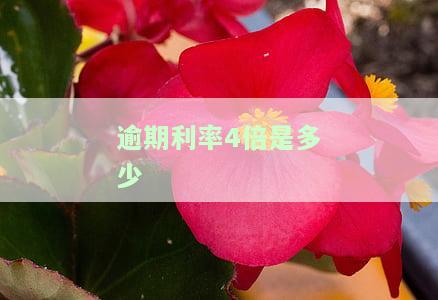 逾期利率4倍是多少利息？计算方法与实际费用解析