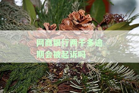 网商银行欠了2万多已经逾期了还了10000后面还会被告吗，网商银行逾期2万已还1万，是否还需担心被起诉？