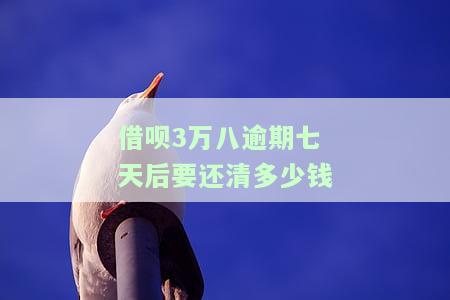 借呗逾期3万80天了，该如何处理？