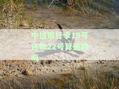 中信银行卡19号还款22号算逾期吗？如何处理逾期情况？