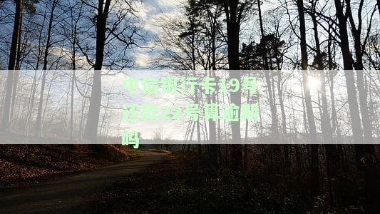 中信银行卡19号还款22号算逾期吗怎么算，中信银行卡还款日期疑问：19号还款22号算逾期吗？详解计算方法