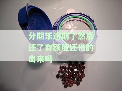 分期乐有过逾期,还完钱后是否能再次借款？逾期记录如何消除并恢复使用？