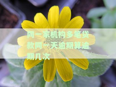 同一天申请多家贷款会影响信用吗？