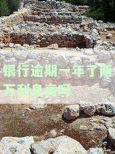 计算银行逾期一年利息的方法与步骤