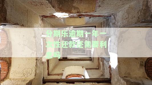 分期乐逾期一年未还，影响大吗？