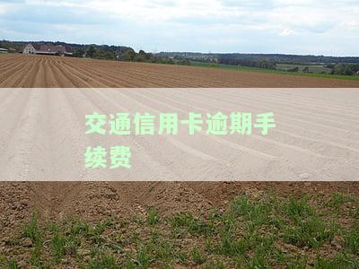 交通信用卡逾期手续费多少，了解交通信用卡逾期手续费的收费标准