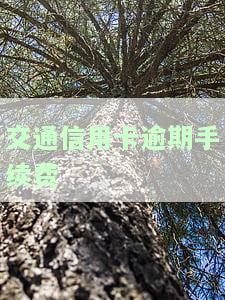 交行信用卡逾期：利息能否减免？多久会走向司法？