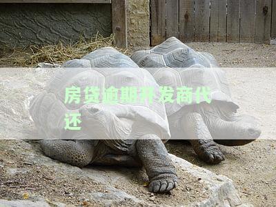 房贷逾期开发商代偿：能否与开发商协商后再起诉业主？