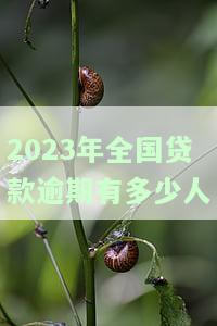 2023年全国贷款逾期：多少人被起诉？2020贷款逾期人数激增