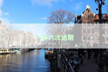 一年六次逾期怎么处理，如何处理一年内六次逾期的情况？