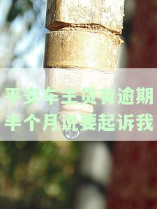 平安车主贷逾期半月，被威胁起诉？真伪如何判断？