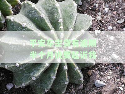 平安车主贷逾期多久会被起诉？逾期天数与上征信的关系及解决办法
