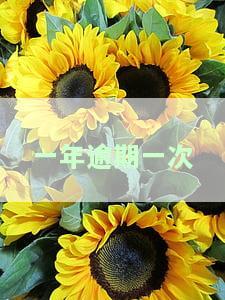 一年逾期一次能贷款吗，一年逾期一次会对贷款申请产生影响吗？
