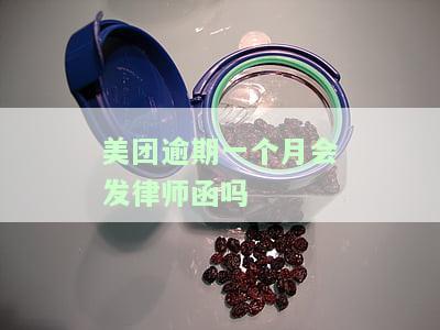 美团逾期一个月会否被本地法院起诉？逾期金额多少才立案？