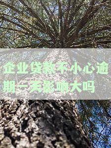 企业贷款逾期一天影响大？知乎用户分享经验与建议