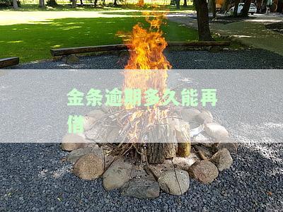金条逾期多久能再借出来，金条借款逾期后，多久可以再次申请？