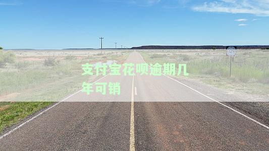 支付宝花呗逾期几年可销户？逾期后多久能重新使用？