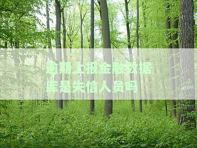 逾期上报金融数据基础库，确保合规：及时上报金融数据基础库，避免逾期罚款