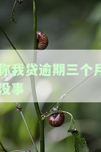 你我贷逾期三个月真的没事吗？该如何解决？