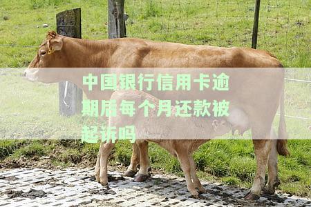 中国银行信用卡逾期一天还款利息计算方法及金额是多少？