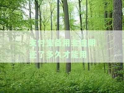 支付宝备用金逾期后多长时间可以再次使用？