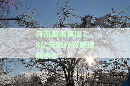 河南国资集团7.8亿元银行贷款逾期多少年，河南国资集团7.8亿元银行贷款逾期多年，引发关注