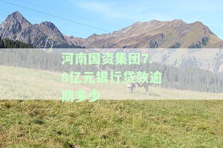河南国资集团7.8亿元银行贷款逾期多少-河南国资集团7.8亿元银行贷款逾期多少天