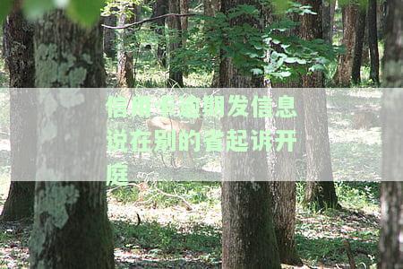 如何处理被信用卡异地起诉的问题？详细步骤解析