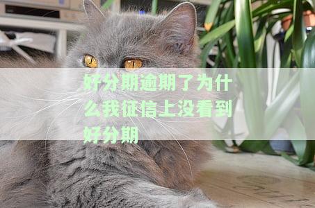 称上央行征信，实际并未上，该如何处理?